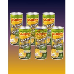 Philippine Brand Calamansi Juice - 250ml