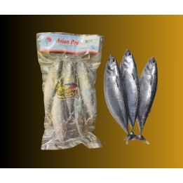 Asian Pearl Bullet Tuna/Tulingan - 850g