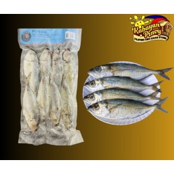 Asian Pearl Big Eye Scad - 900g