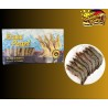 Ecua Pearl White Shrmps - 1Kg