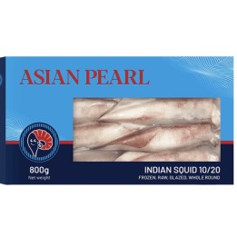 Indian Needle Squid 10/20