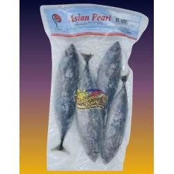 Asian Pearl Bullet Tuna - 1kg